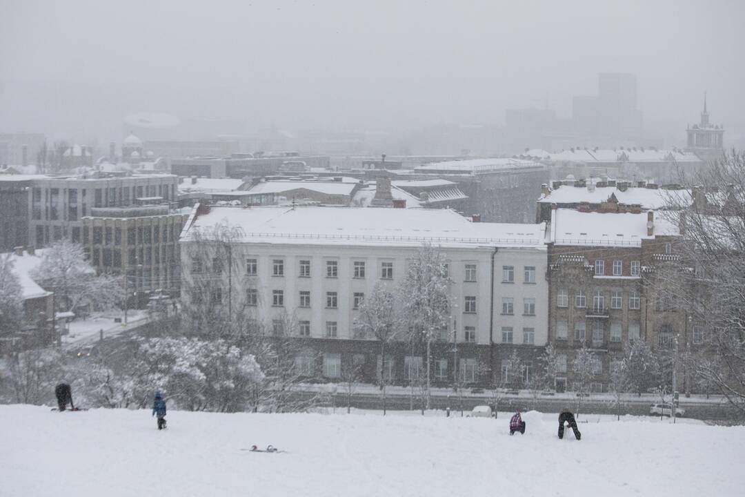 Gausus sniegas užklojo Vilnių