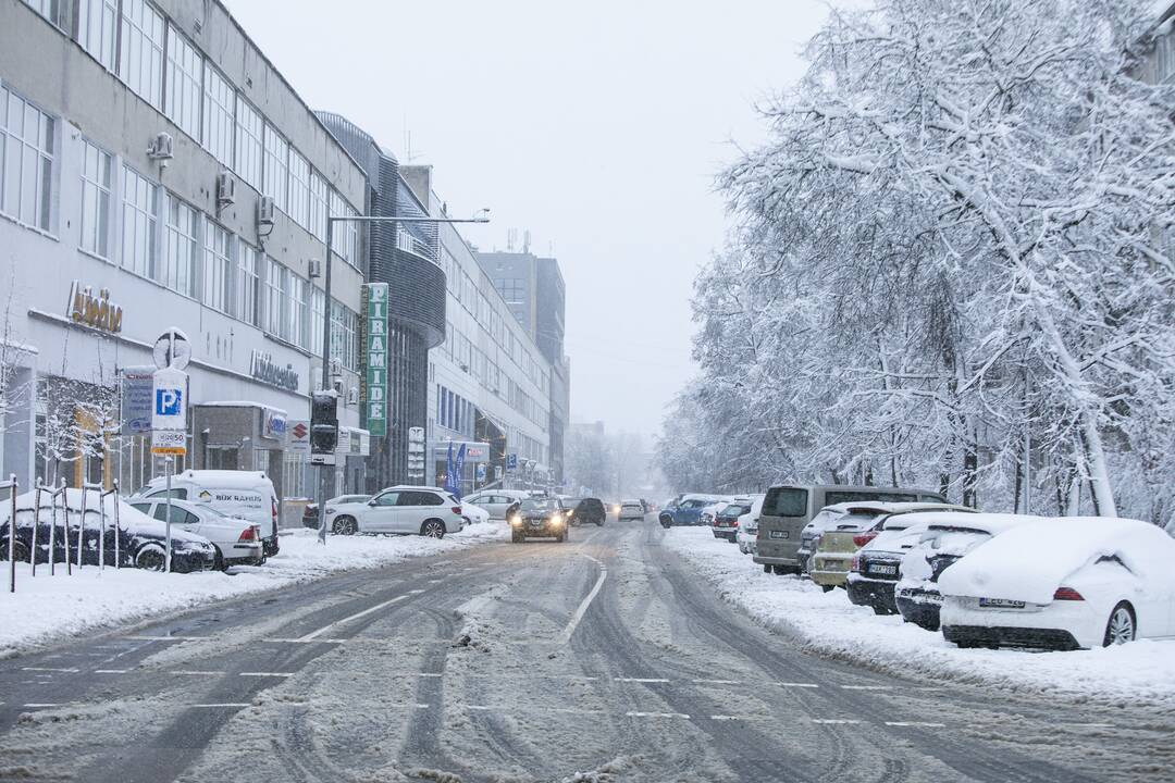 Gausus sniegas užklojo Vilnių