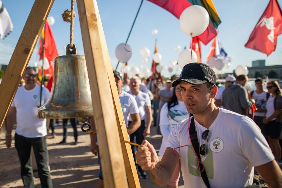 Šeimų maršo protestas prie Seimo