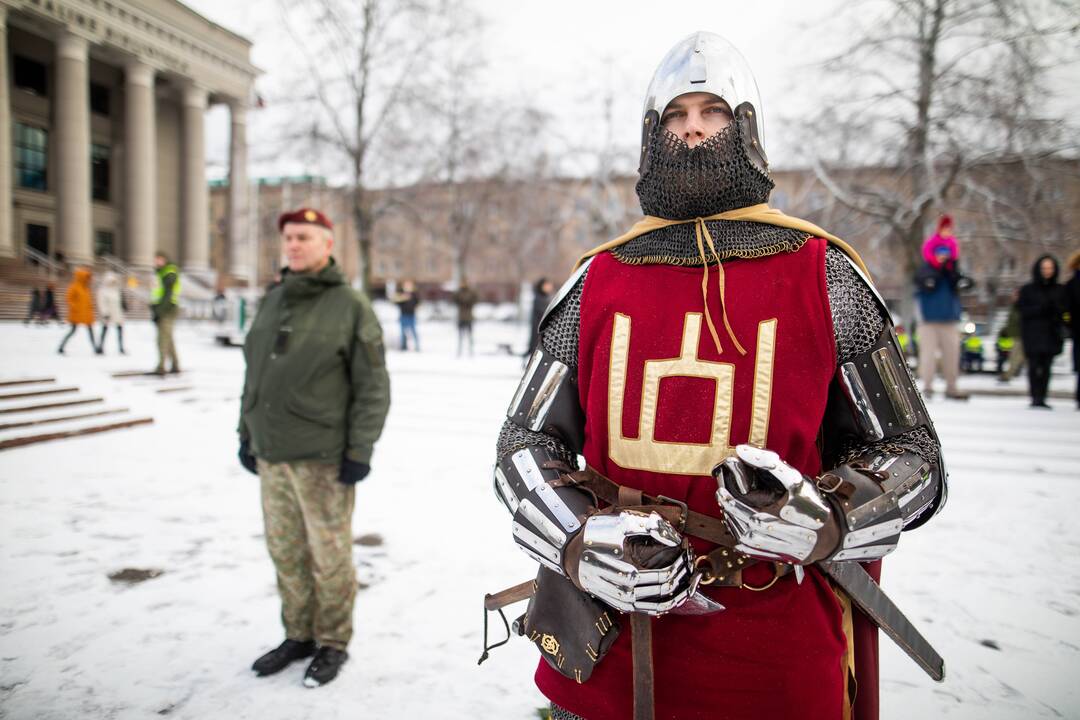 Savanorių pajėgų 31-osioms įkūrimo metinėms skirta rikiuotė