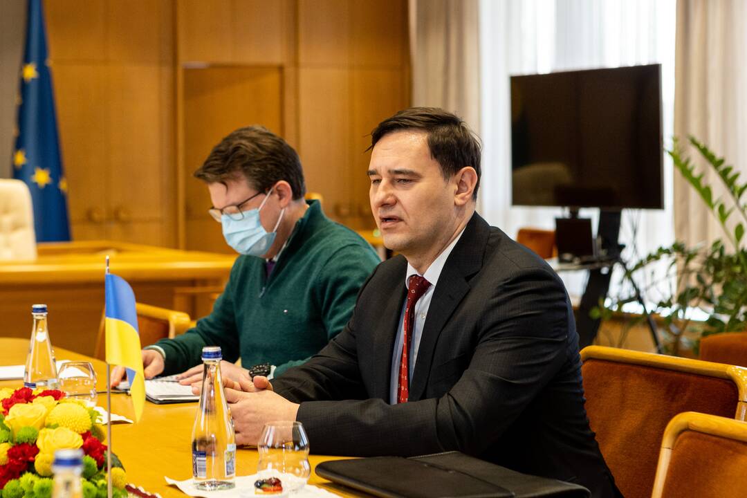Seimo pirmininkė susitiko su Ukrainos ambasadoriumi