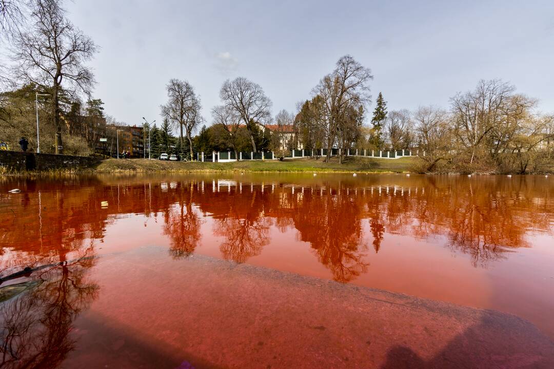 Prie Rusijos ambasados tvenkinys nudažytas raudona spalva