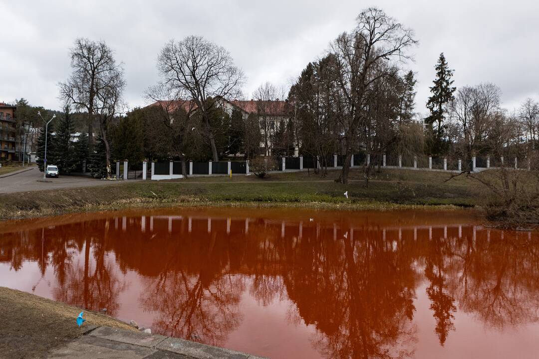 Prie Rusijos ambasados tvenkinys nudažytas raudona spalva