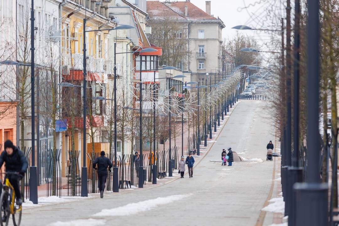 Šiauliai ruošiasi rinkimams