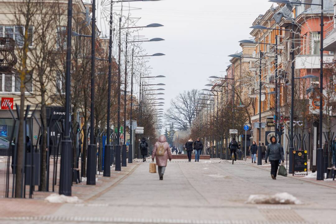 Šiauliai ruošiasi rinkimams