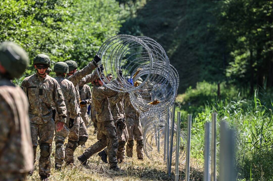 Viceministras: Baltarusijos pasienyje jau nutiesta apie 20 km pjaunančios vielos