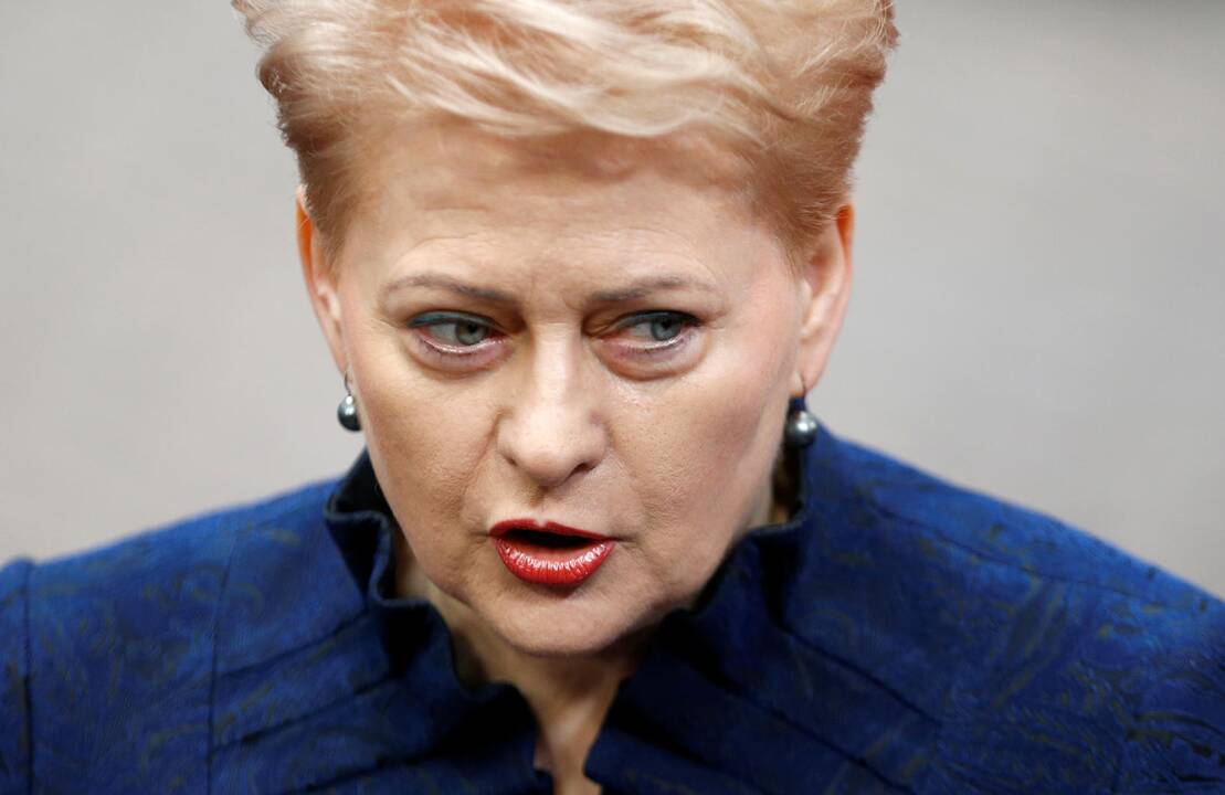 D. Grybauskaitė: Vokietija ima suprasti atsakomybę už Europos saugumą