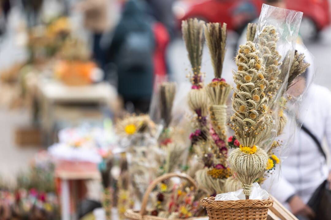 Verbų sekmadienis Vilniuje