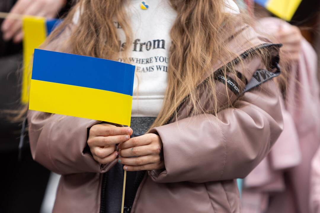 Ukrainos dienų „Vilniushyvanka“ pristatymas