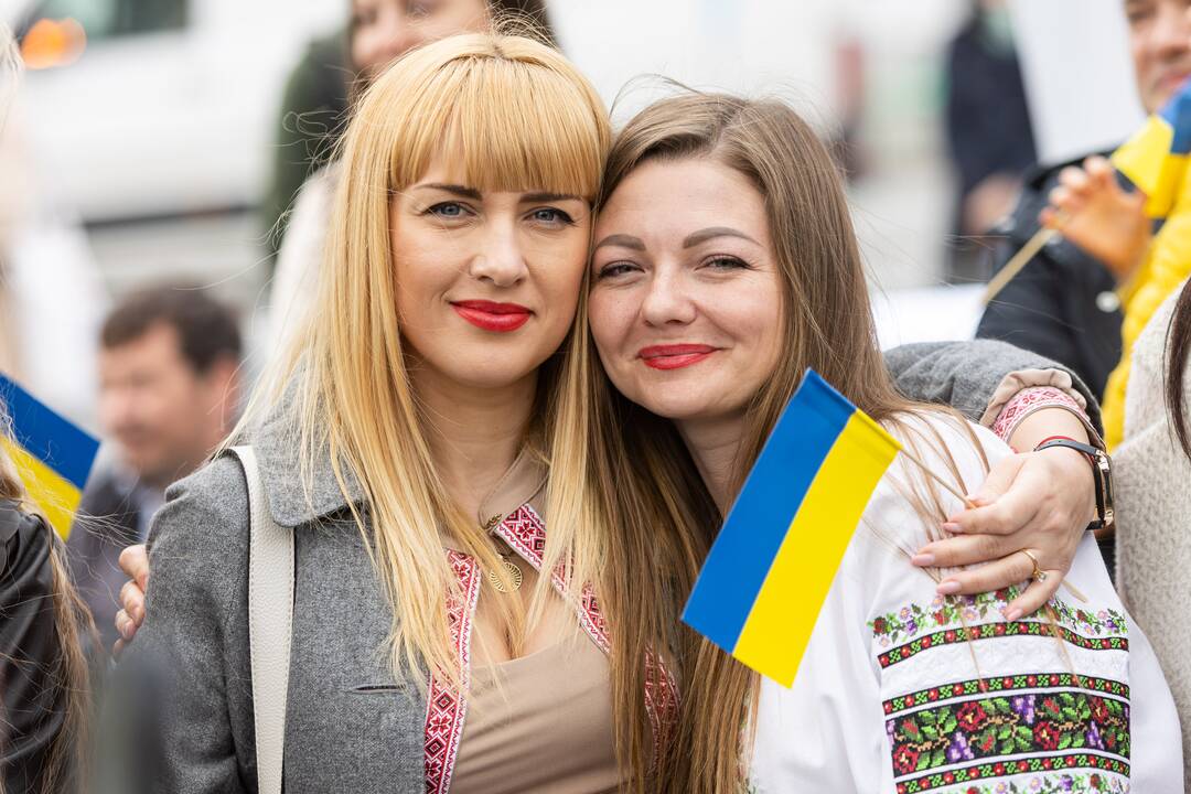 Ukrainos dienų „Vilniushyvanka“ pristatymas