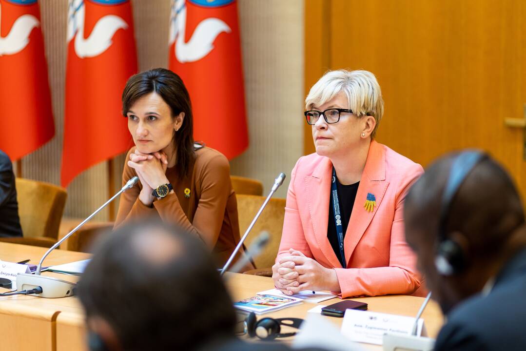 V. Čmilytė-Nielsen sako nematanti rimtų argumentų dėl būtinybės perkrauti Vyriausybę