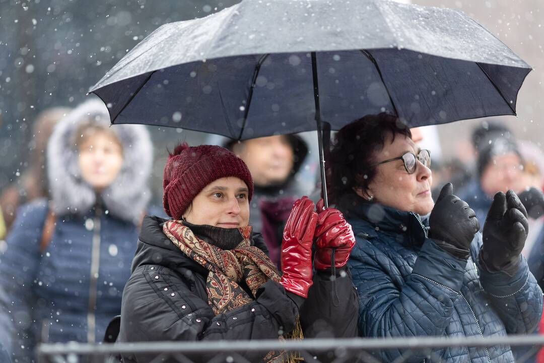Streikuojančių vairuotojų palaikymo piketas