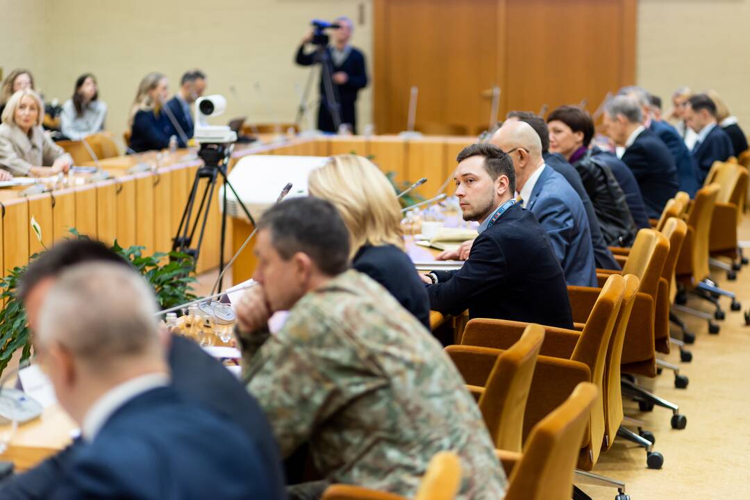 Konferencija dėl NATO viršūnių susitikimo Vilniuje