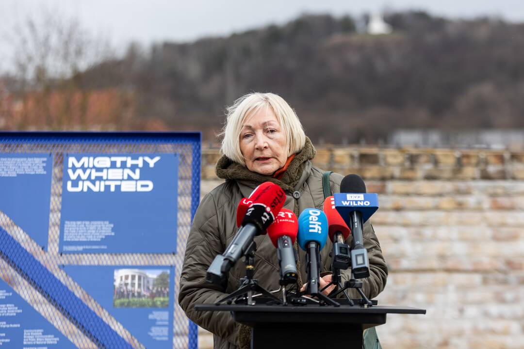 Parodos „Galingi, nes vieningi“ pristatymas