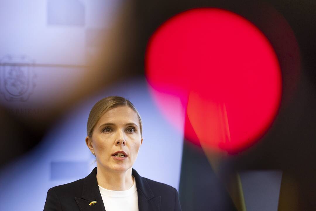 Ministerijų pasitarimas dėl nusikaltimų prieš vaikus