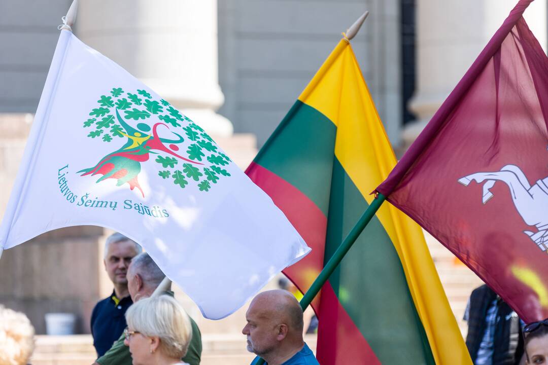Protestas prieš tos pačios lyties asmenų sąjungų įteisinimą