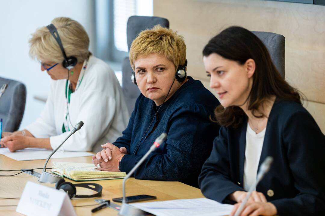 Spaudos konferencija „Lyčių lygybė ir smurtas prieš moteris“