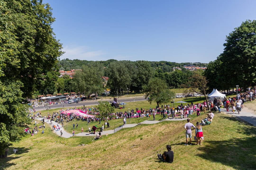 Šaltibarščių festivalis Vilniuje