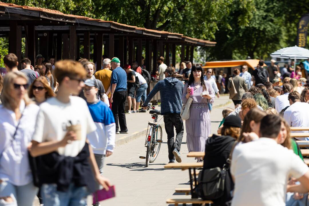 Šaltibarščių festivalis Vilniuje