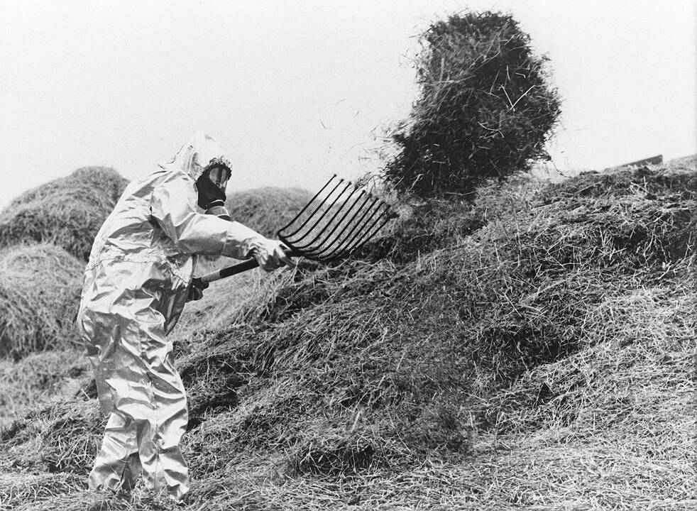 1961 m. sovietams susprogdinus branduolinę bombą, virš Sibiro pakilo radioaktyvus debesis