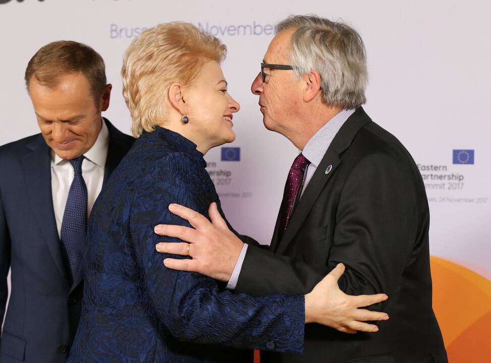 Sveikinti Lietuvos atvyksta Lenkijos prezidentas, ES institucijų vadovai