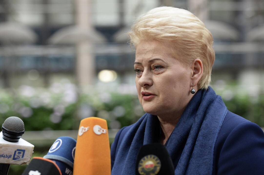 D. Grybauskaitė: V. Putino žingsnis – apskaičiuotas