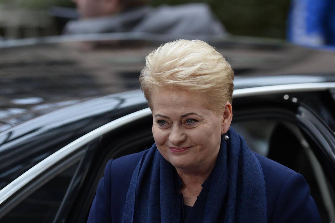 Pasirašant dujotiekio finansavimo sutartį, dalyvaus D. Grybauskaitė ir J. C. Junkeris