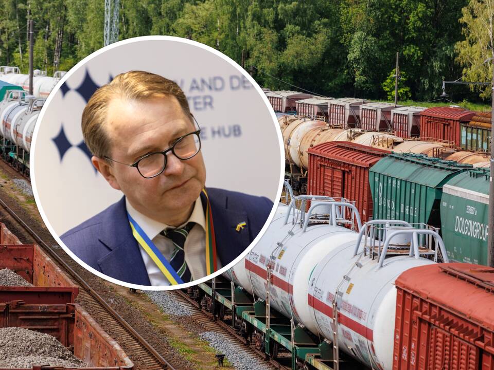D. Žalimas apie Kaliningrado tranzitą: reikia pripažinti Lietuvos pralaimėjimą