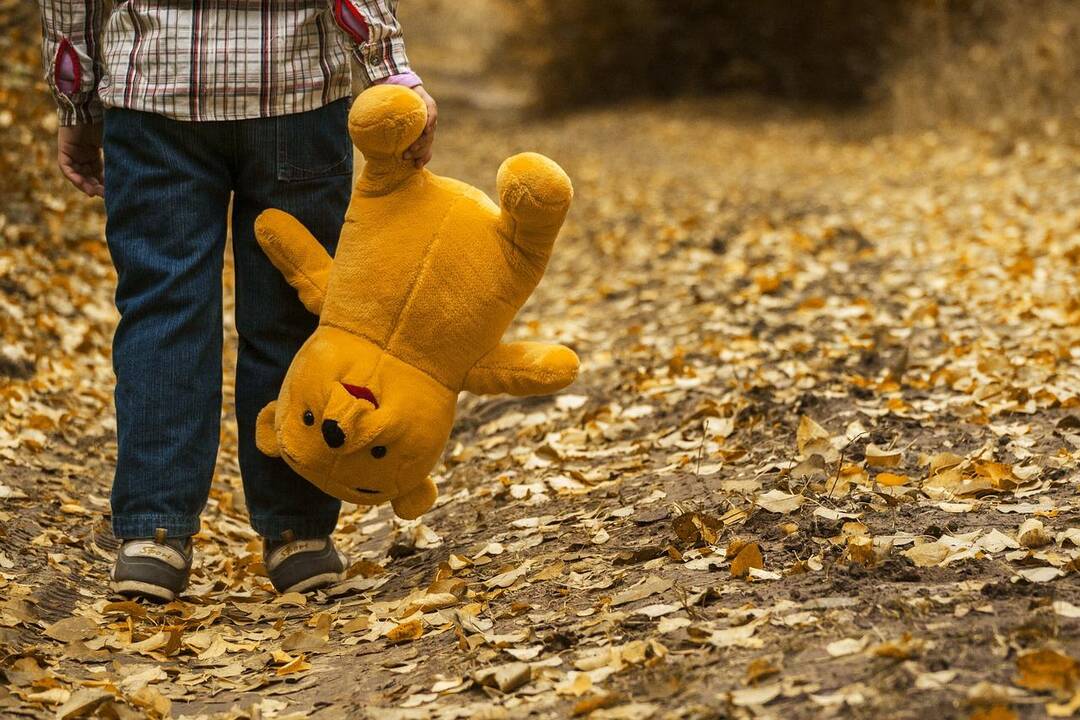 Vaiko pinigai socialinės rizikos šeimoms: raginama atsižvelgti į vaikų poreikius