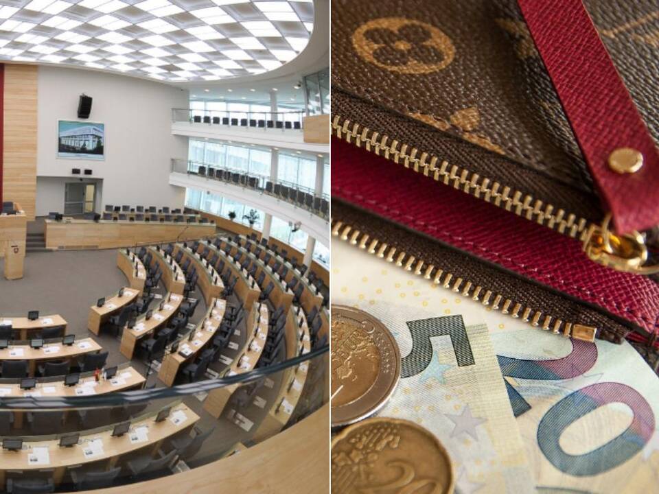 Kandidatų į Seimą turto deklaracijos: kieno piniginė storiausia?