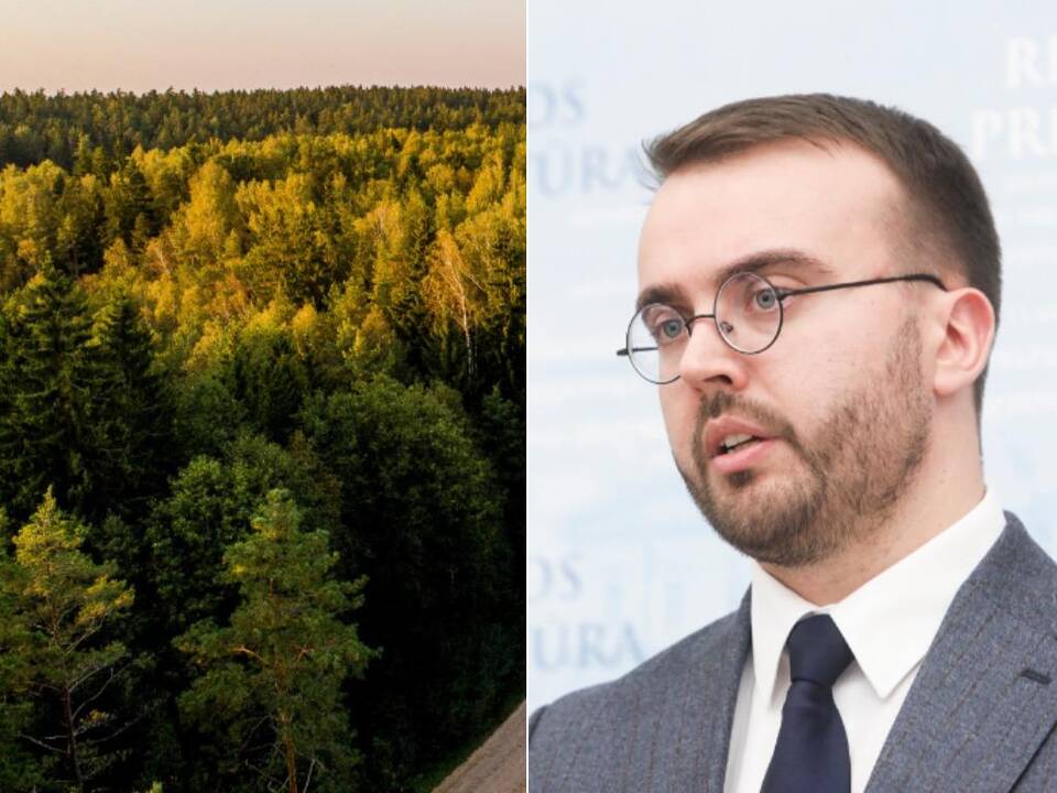 Prezidento patarėjas apie urėdijų skaidymą: tai būtų didelis žingsnis atgal