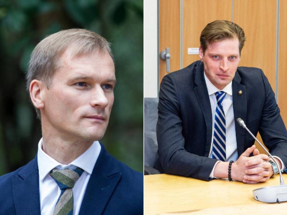 Ministras gavo M. Pulkauninko ataskaitą: labai abstraktus rašinėlis