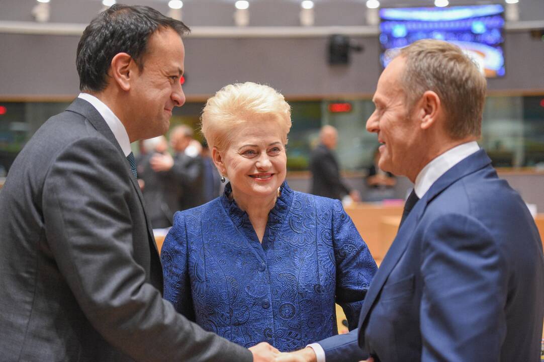Prezidentė dalyvauja Europos vadovų susitikime