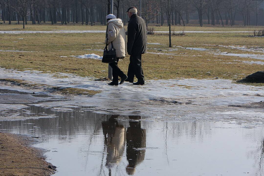 Pavasarinės balos Kauno gatvėse