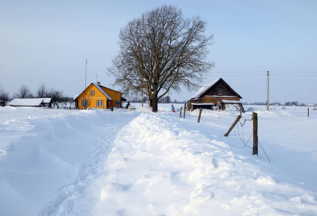 Orai: iš sniego pusnių teliks upeliai