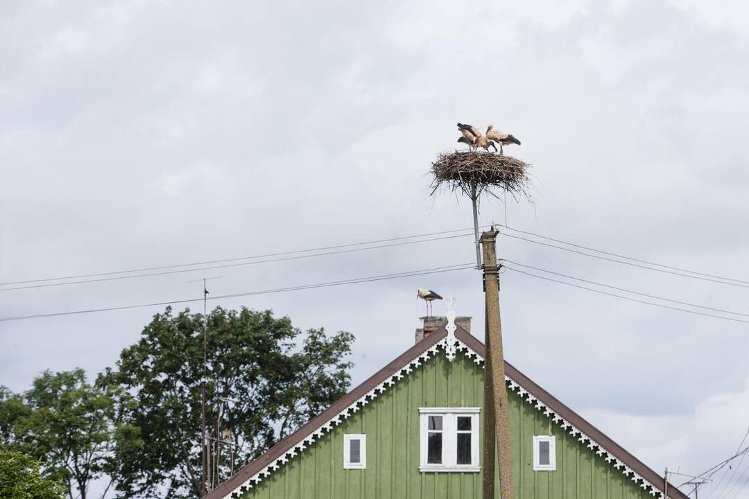 Apklausa: beveik pusė lietuvių niekada nėra keitę gyvenamosios vietos