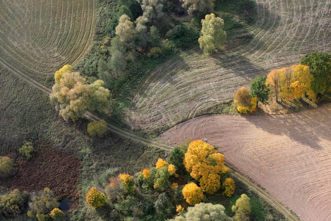 Valstybei grįžta 80 hektarų neteisėtai užgrobtos žemės Ignalinos rajone