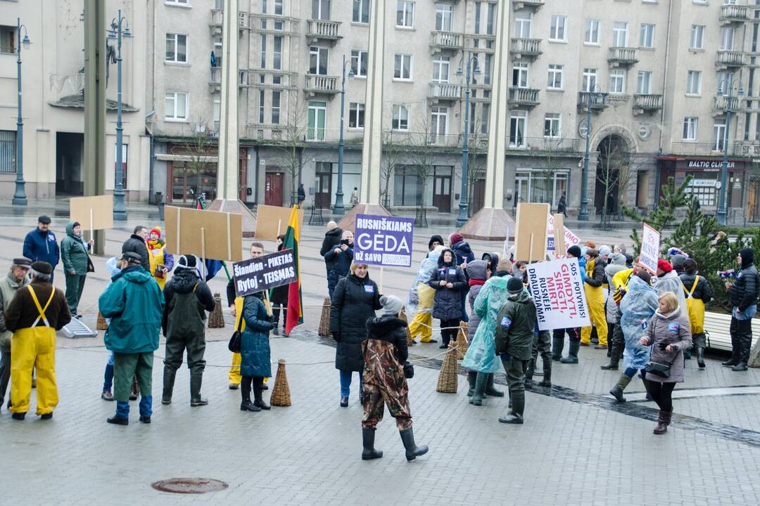 Rusnės gyventojai reikalauja estakados