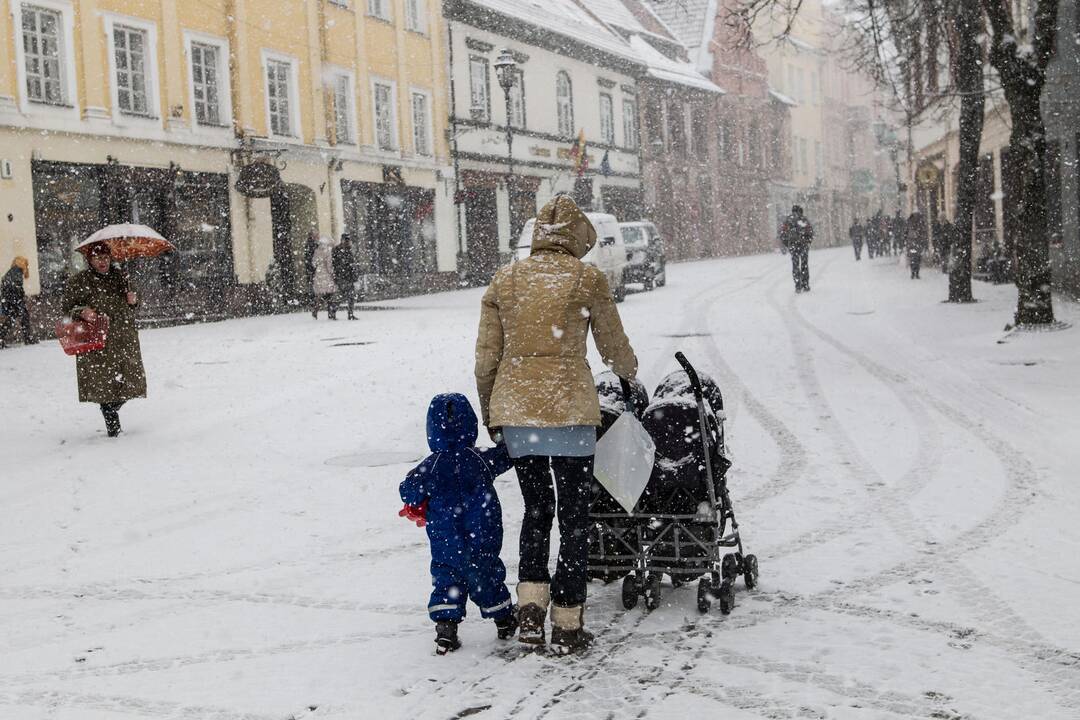 Antradienis Vilniuje išauš vis dar žiemiškas