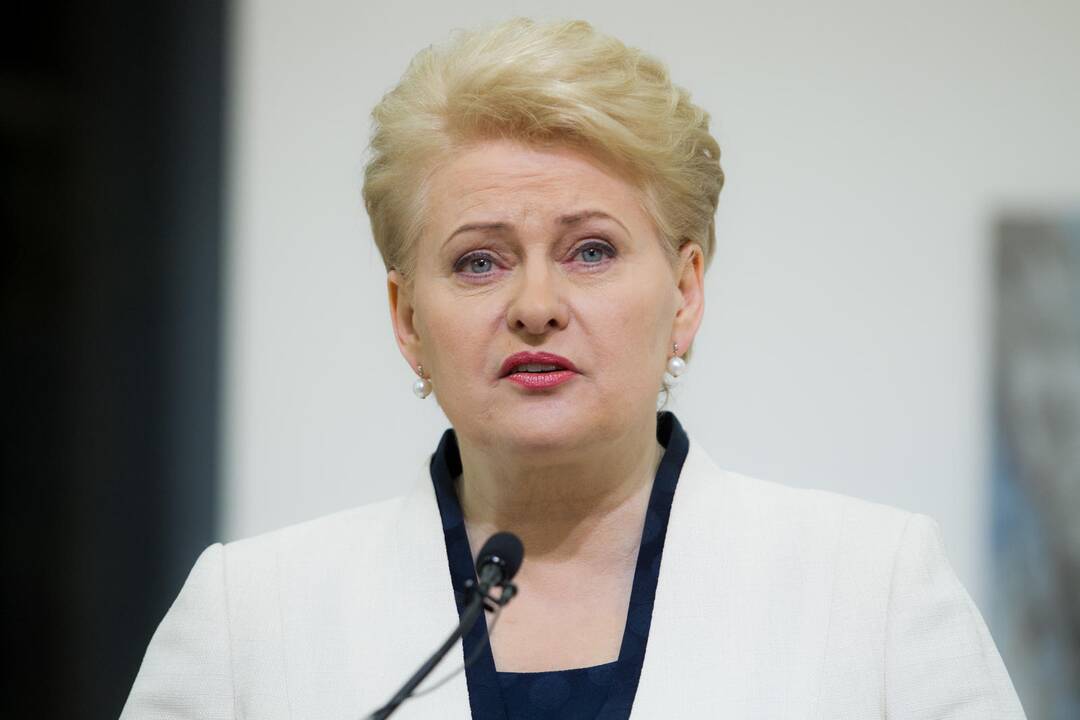 D. Grybauskaitė: NATO Baltijos šalyse atgrasys priešiškas valstybes 