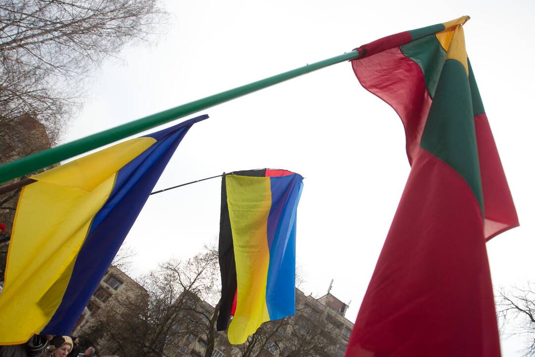 Ambasadoje Ukrainoje dirbs dar du Lietuvos gynybos atašė pavaduotojai