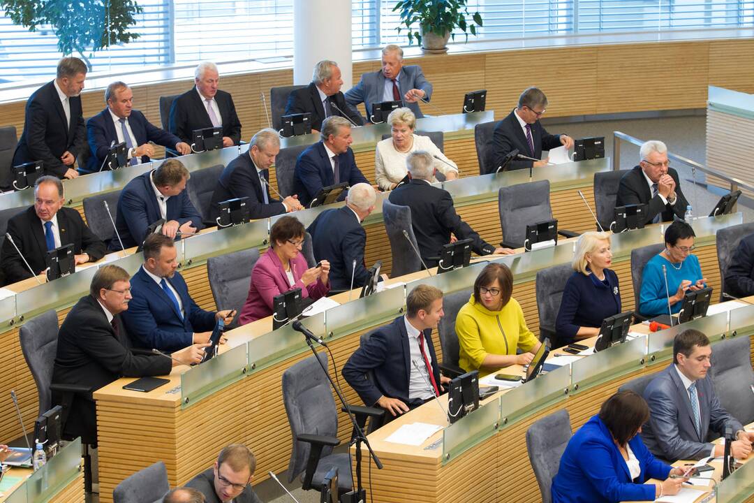 Braukia galimybę Seimo narį skirti ministru