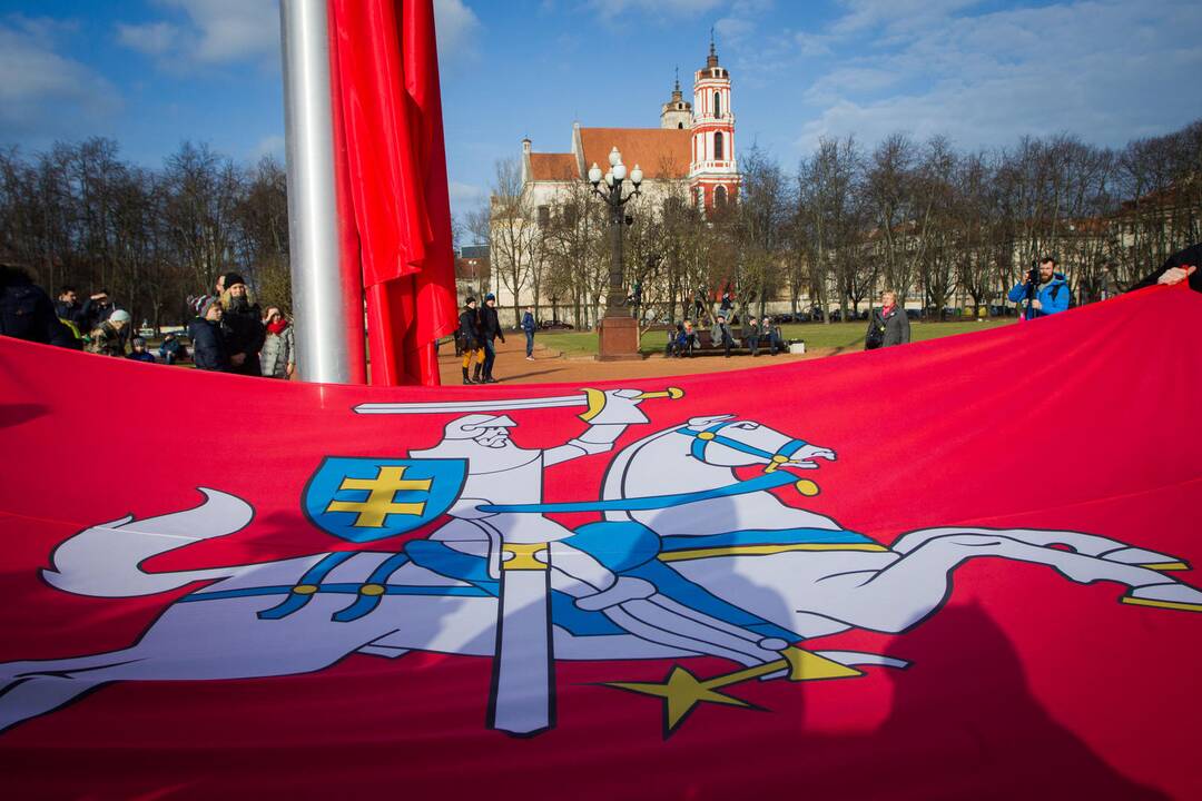 Seimas prašo paremti iniciatyvą Lukiškių aikštėje statyti Vyčio skulptūrą