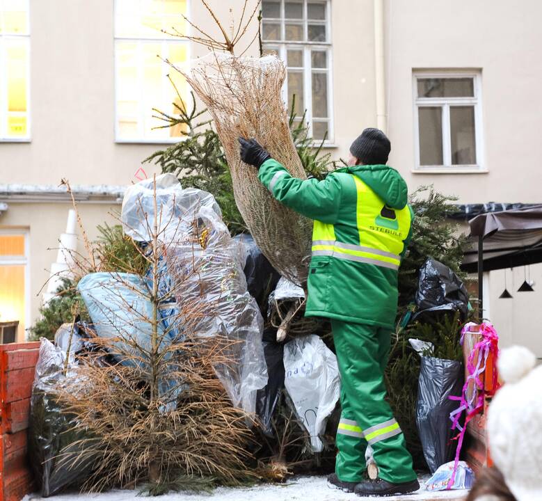 Vilniečiai raginami namus puošusias Kalėdų eglutes paversti šiluma