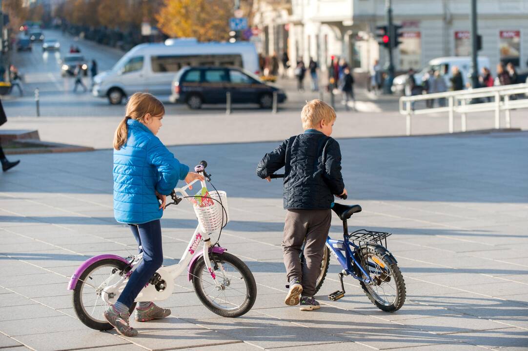 Perspėjimai: pasak medikų, nėra tokių tablečių, kurių išgėrus imunitetas sustiprės, jis priklauso nuo gyvenimo būdo.