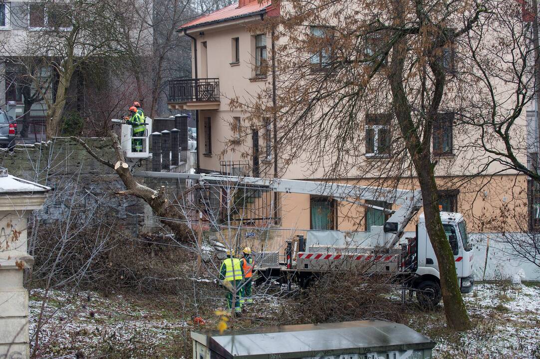 Akcija: J.Didžiulis kviečia susiburti visus, kurie jaučia skausmą dėl to, kad valdžia laidoja ne tik medžius, bet ir istoriją, pasitikėjimą.