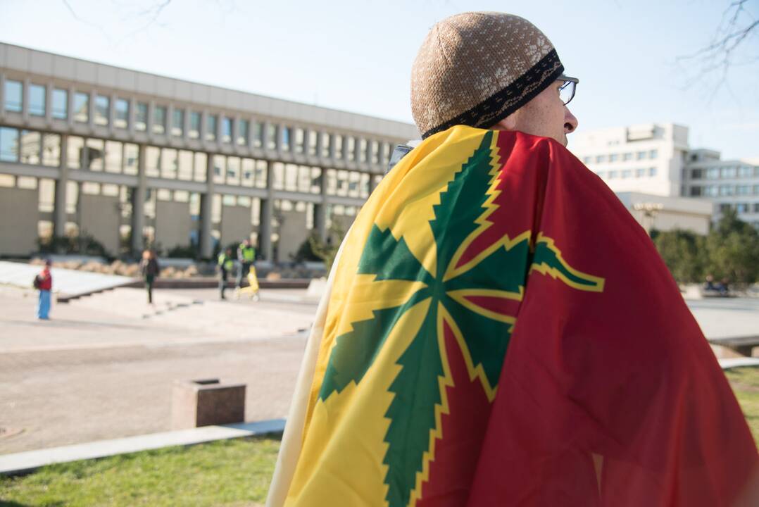 S. Šedbaras: kanapių dekriminalizavimo projektas dar neregistruotas, jo nepasirašė G. Landsbergis