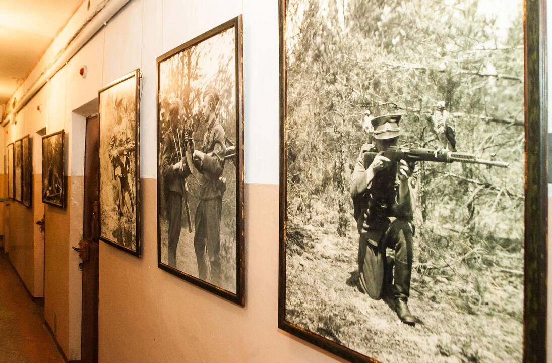 K. Girnius apie partizanus: Lietuva ima atviriau žvelgti į savo istoriją