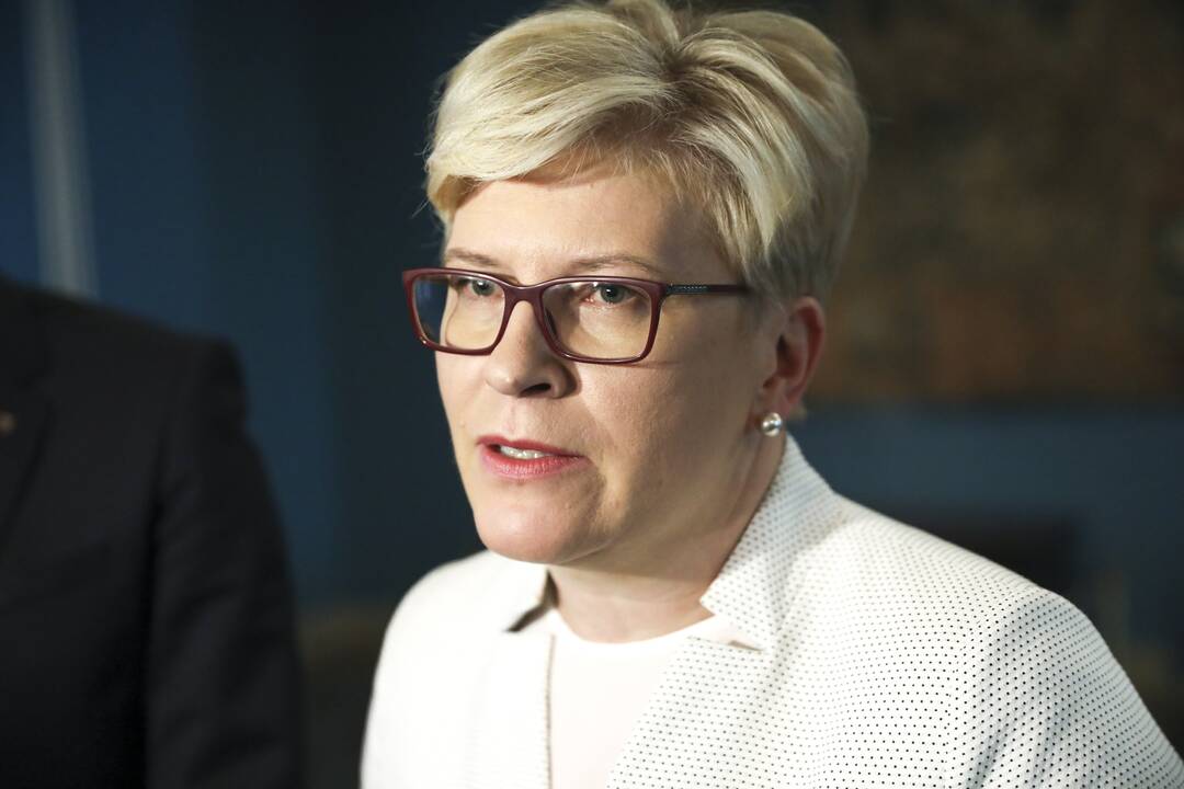I. Šimonytė: suvaldant pandemijos krizę ekspertai turėtų būti labiau matomi