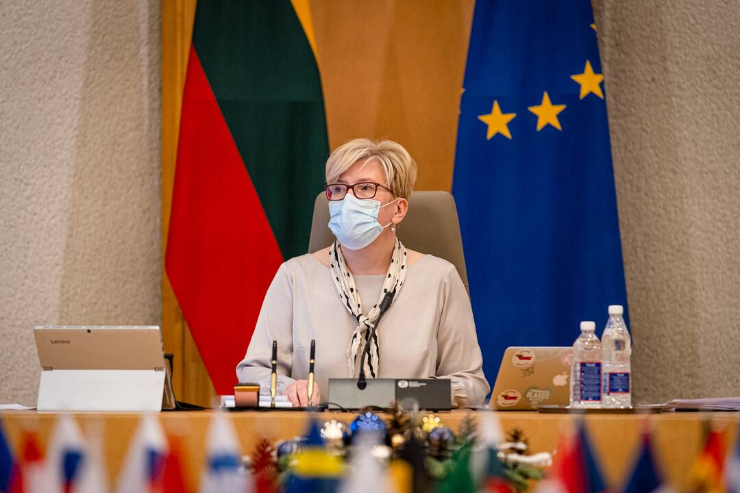 Premjerė džiaugiasi ministrų darbo pradžia: įsivažiuoja sparčiai